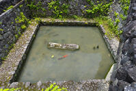石馬寺の石馬の池 [SNO110019301]