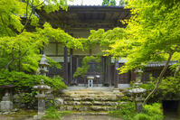 新緑の石馬寺の本堂 [SNO110019303]