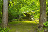 新緑の石馬寺の行者堂 [SNO110019304]
