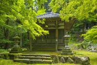 新緑の石馬寺の行者堂 [SNO110019305]