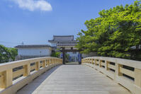 新緑の水口城跡の御成橋 [SNO110019329]