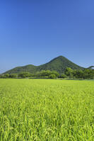 夏の近江富士 [SNO110019375]