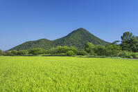 夏の近江富士 [SNO110019376]