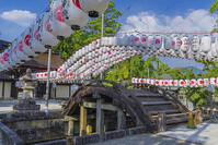 多賀大社万灯祭 [SNO110019401]