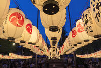 多賀大社万灯祭 [SNO110019405]