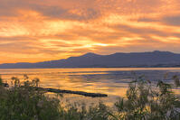 琵琶湖と比叡山の夕景 [SNO110019473]
