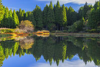 秋の平池のリフレクション [SNO110019474]