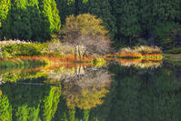 秋の平池のリフレクション [SNO110019475]