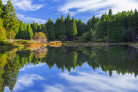 秋の平池のリフレクション [SNO110019477]