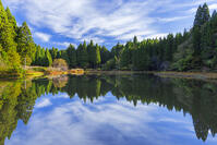 秋の平池のリフレクション [SNO110019480]