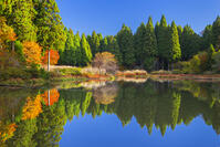 秋の平池のリフレクション [SNO110019481]