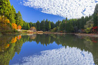 秋の平池のリフレクション [SNO110019482]