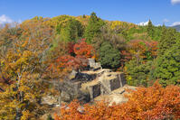 秋の苗木城跡の大矢倉跡 [SNO110019486]