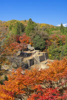 秋の苗木城跡の大矢倉跡 [SNO110019487]