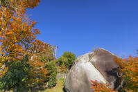 秋の苗木城本丸跡の馬洗石 [SNO110019494]