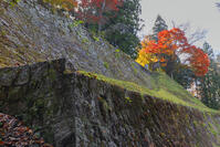 紅葉の岩村城跡 [SNO110019507]