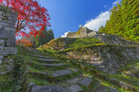 紅葉の岩村城跡 [SNO110019513]