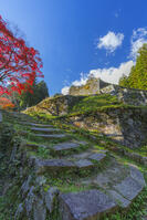 紅葉の岩村城跡 [SNO110019514]