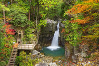 紅葉の竜神の滝 [SNO110019516]