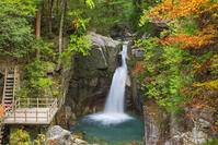 紅葉の竜神の滝 [SNO110019517]