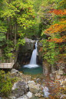 紅葉の竜神の滝 [SNO110019519]