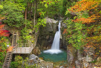 紅葉の竜神の滝 [SNO110019520]