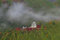 雲海漂う紅葉の郡上八幡城 [SNO110019532]