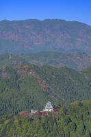 紅葉の郡上八幡城 [SNO110019541]