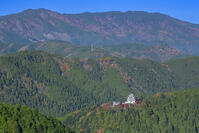 紅葉の郡上八幡城 [SNO110019542]