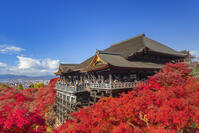 紅葉の清水寺本堂と青空 [SNO110019548]
