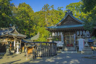 御猟野乃杜・加茂神社 [SNO110019552]