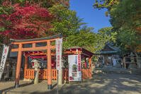 御猟野乃杜・加茂神社 [SNO110019553]