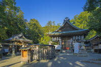 御猟野乃杜・加茂神社 [SNO110019554]