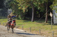 馬上武芸奉納祭・流鏑馬 [SNO110019556]