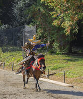 馬上武芸奉納祭・流鏑馬 [SNO110019557]
