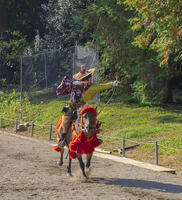 馬上武芸奉納祭・流鏑馬 [SNO110019560]