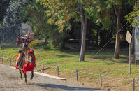 馬上武芸奉納祭・流鏑馬 [SNO110019561]