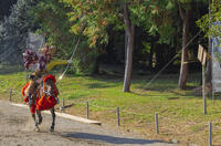 馬上武芸奉納祭・流鏑馬 [SNO110019562]