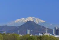 岐阜城と雪の御嶽山と岐阜県庁 [SNO110019585]