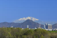 岐阜城と雪の御嶽山と岐阜県庁 [SNO110019586]