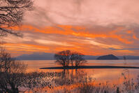 琵琶湖の夕景と竹生島 [SNO110019593]