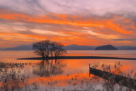 琵琶湖の夕景と竹生島 [SNO110019594]