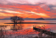 琵琶湖の夕景と竹生島 [SNO110019600]