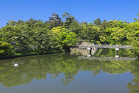 新緑の松江城の堀 [SNO110020031]