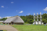 三内丸山遺跡　掘立柱建物  [SNO110020357]