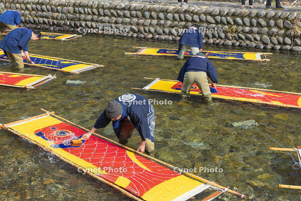 郡上本染鯉のぼり寒ざらし [SNO110018840]