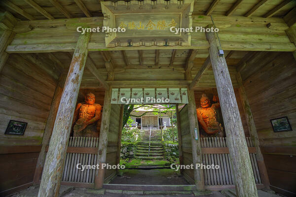 新緑の金勝寺（こんしょうじ）仁王門 [SNO110019294]