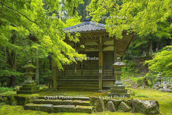 新緑の石馬寺の行者堂 [SNO110019305]