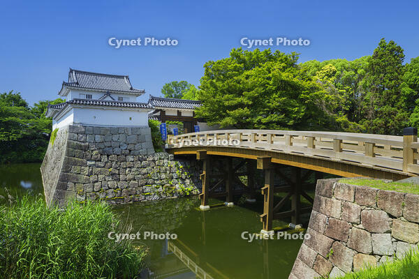 新緑の水口城跡の御成橋 [SNO110019327]
