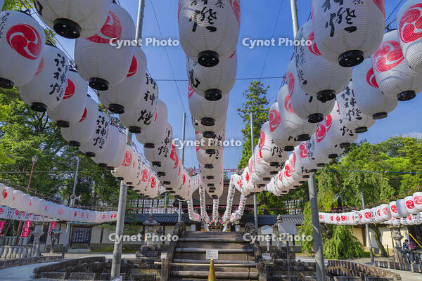 多賀大社万灯祭 [SNO110019399]
